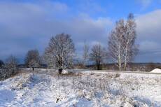 Шамордино январь 2012