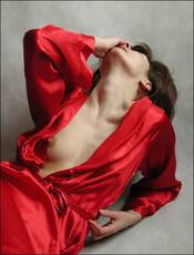 The Red Dressing-gown