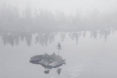 Таёжные призраки