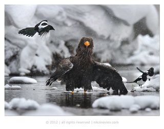 Падал снег
