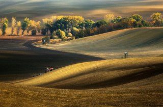 Autumn fields...