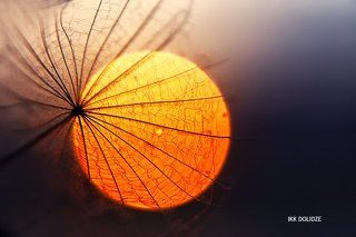 sun set