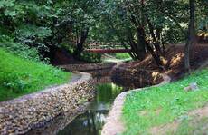 stream
