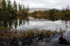 зеркальная
