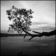 Орлинское озеро. Поздний вечер.