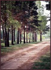 Дорога