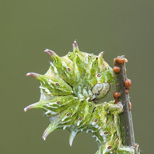 Превью фотографии фотографа Игорь ФУММ