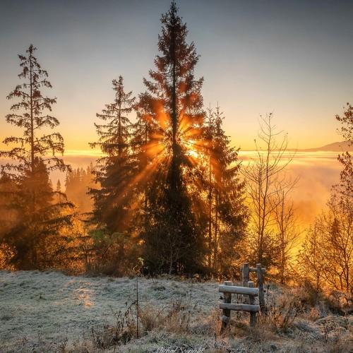 Превью фотографии фотографа Sośnicki Michał