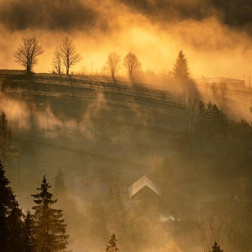 Превью фотографии фотографа Sośnicki Michał