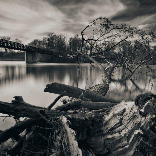 Превью фотографии фотографа Pilgrim