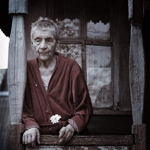 Превью фотографии фотографа Сотсков Николай