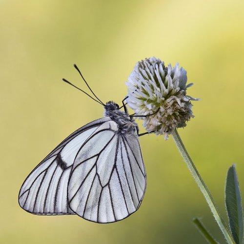Превью фотографии фотографа Леонид