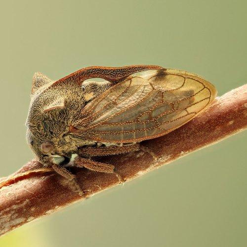 Превью фотографии фотографа Сергей Таланов