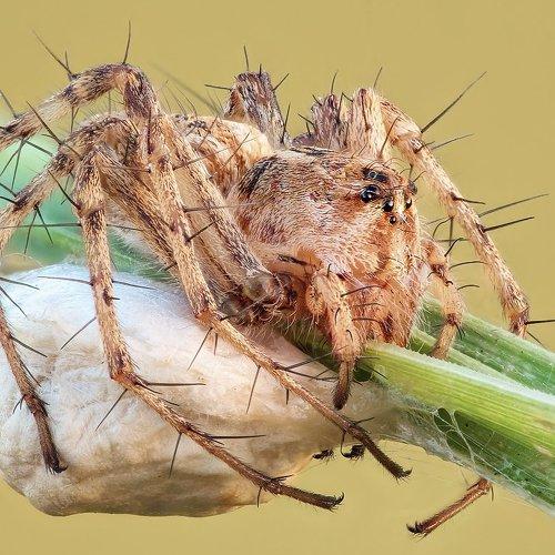 Превью фотографии фотографа Вадим Ходаковский