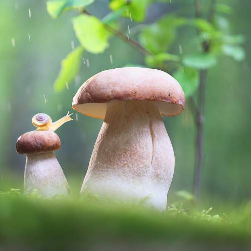 Превью фотографии фотографа Вадим Трунов