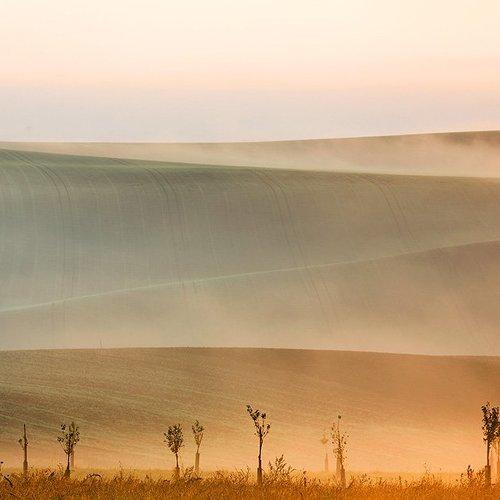 Превью фотографии фотографа hong seungpyo