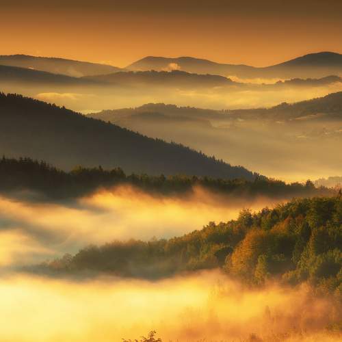 Превью фотографии фотографа Sośnicki Michał