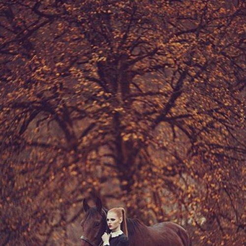 Превью фотографии фотографа Savchenko Julia