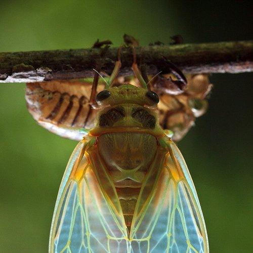 Превью фотографии фотографа Владимир Нейморовец