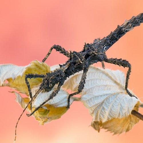 Превью фотографии фотографа Алексей Волков