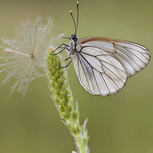 Превью фотографии фотографа Леонид