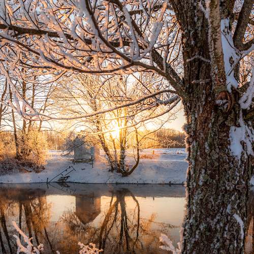 Превью фотографии фотографа Руслан Авдевич