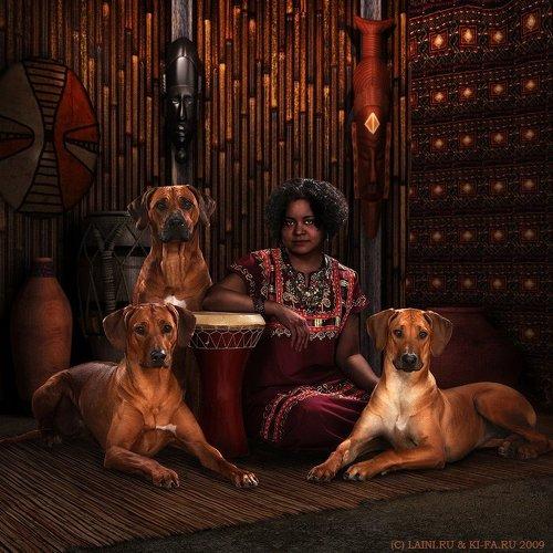 Превью фотографии фотографа KI-FA.ru