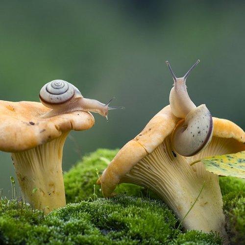 Превью фотографии фотографа Анатолич