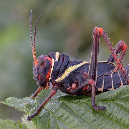 Превью фотографии фотографа Александр Чувилин