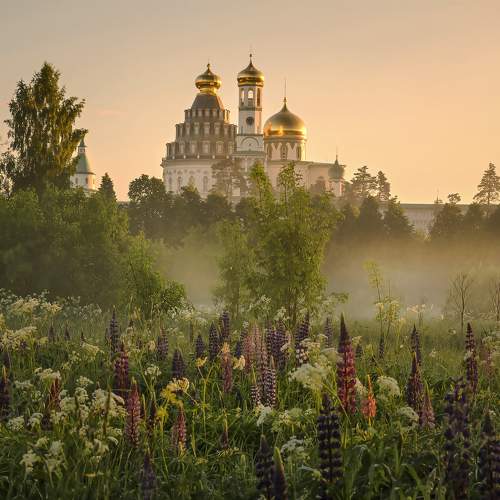 Превью фотографии фотографа Бирюков Вячеслав