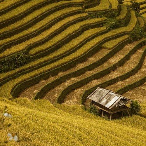 Превью фотографии фотографа Dang Thanh Son