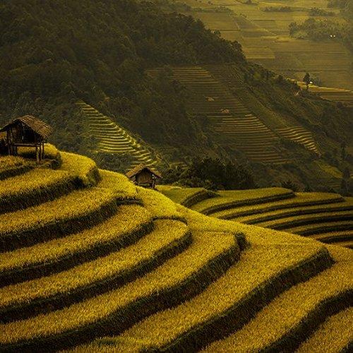 Превью фотографии фотографа Dang Thanh Son