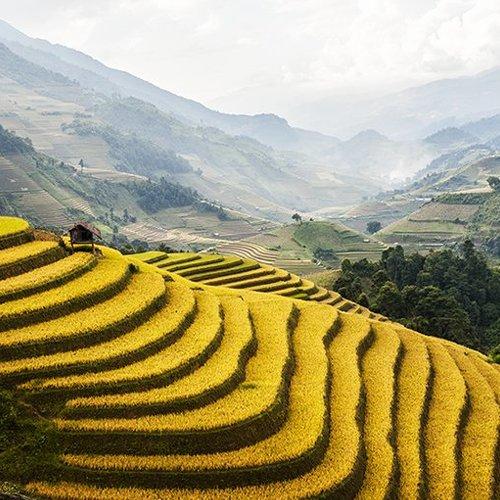 Превью фотографии фотографа Dang Thanh Son