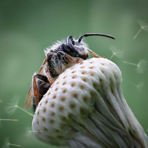 Превью фотографии фотографа Хилько Марина