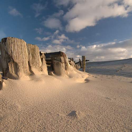 Превью фотографии фотографа Daiva Cirtautė