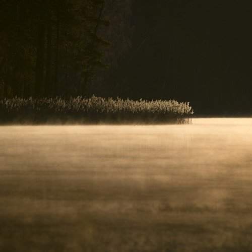 Превью фотографии фотографа Rimantas Bikulcius