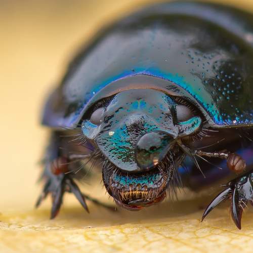 Превью фотографии фотографа  НиКоЛаЙ