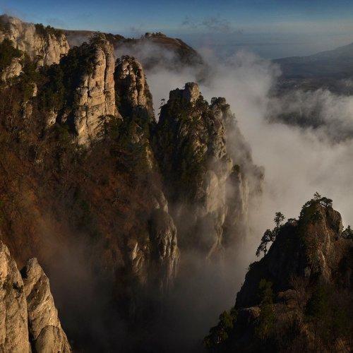 Превью фотографии фотографа Владимир Метцгер