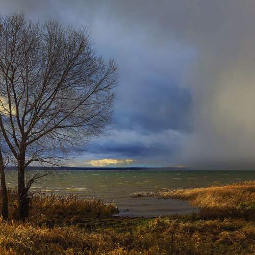 Превью фотографии фотографа Юрий Дёмин