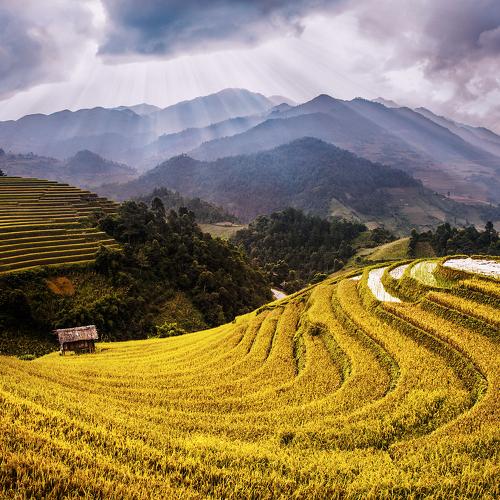 Превью фотографии фотографа Dang Thanh Son