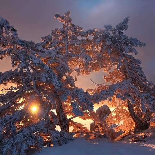 Превью фотографии фотографа Коваль Дмитр