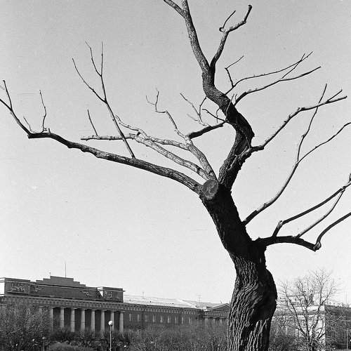 Превью фотографии фотографа Дмитрий Филимонов