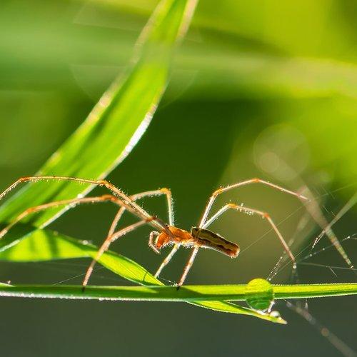 Превью фотографии фотографа Игорь