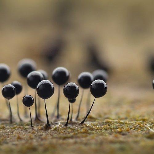 Превью фотографии фотографа Валерия Зверева