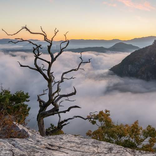 Превью фотографии фотографа Jaeyoun Ryu