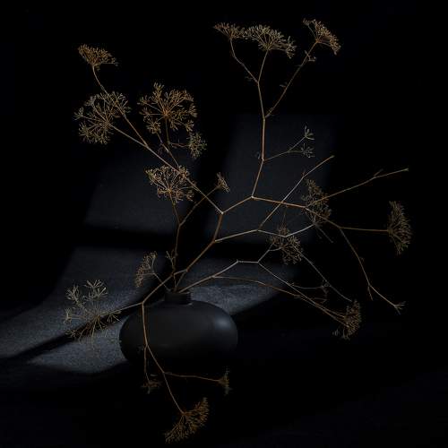 Превью фотографии фотографа Chapman Luba