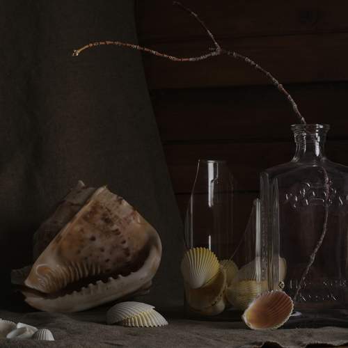 Превью фотографии фотографа Мартынов Тим