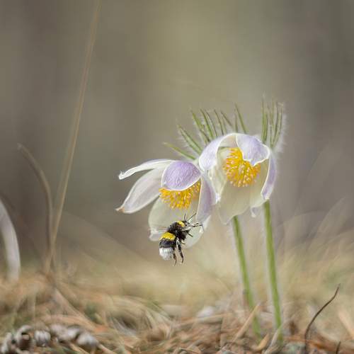 Превью фотографии фотографа Koledova Irina