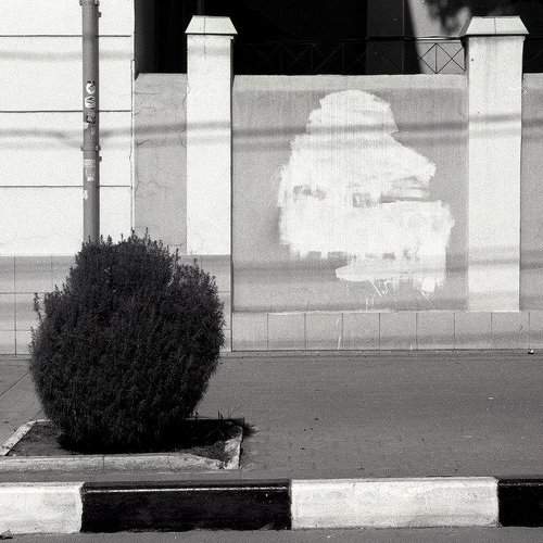 Превью фотографии фотографа Дмитрий Филимонов