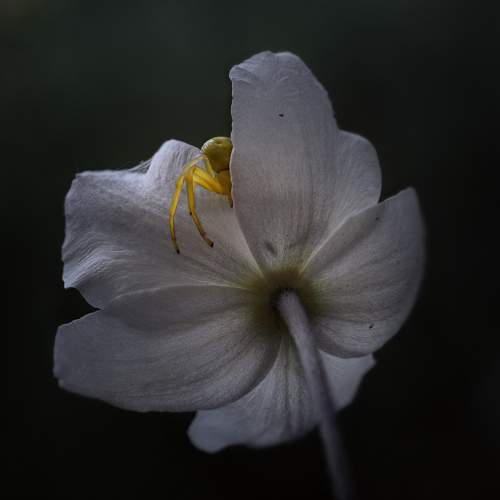 Превью фотографии фотографа Баранов Олег